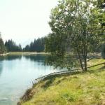 der Arnisee