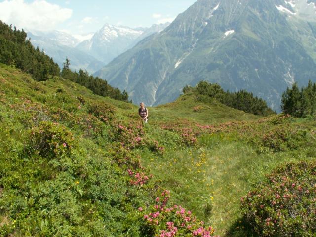 wunderschön