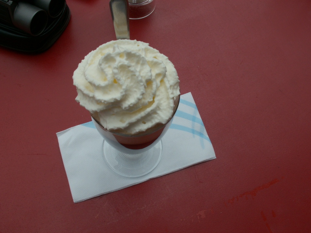 Kaffee Rotsteinpass