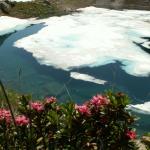 Alpenkranz Uri Teil 10 Erstfeld-Krönten H.-Leidseepass-Leutschach H.-Sunniggrätli-Arni-Gurtnellen 18.7. - 20.7.2006