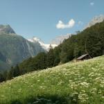 Erstfeldertal mit Blick Richtung Kröntenhütte