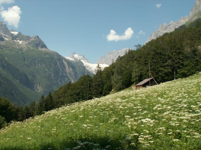 Erstfeldertal mit Blick Richtung Kröntenhütte
