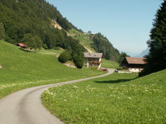 Wilerli