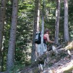 im Bogliwald Richtung Kröntenhütte