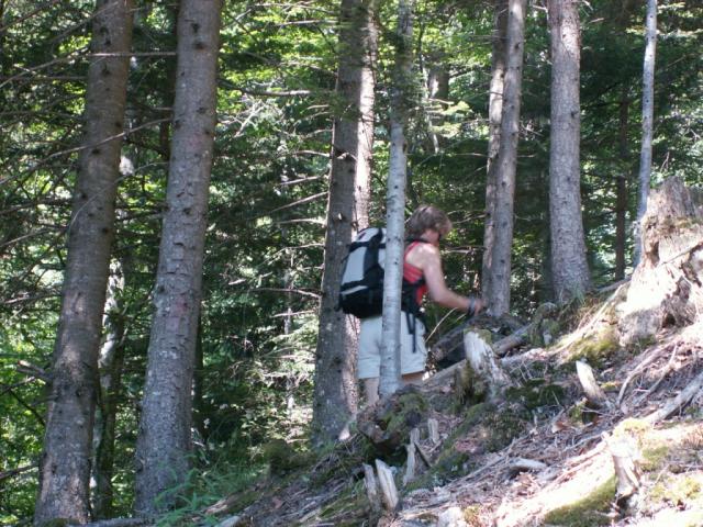 im Bogliwald Richtung Kröntenhütte
