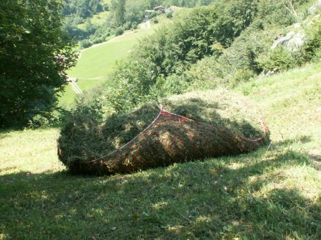 so wird hier noch Heu transportiert