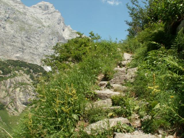 aufwärts Richtung Fulensee