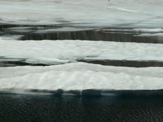 wie in Alaska