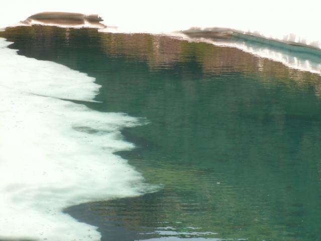 Wasserspiegelungen