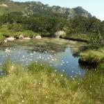 Moorlandschaft auf der Ebene im Hintergrund das Sunnig Grätli