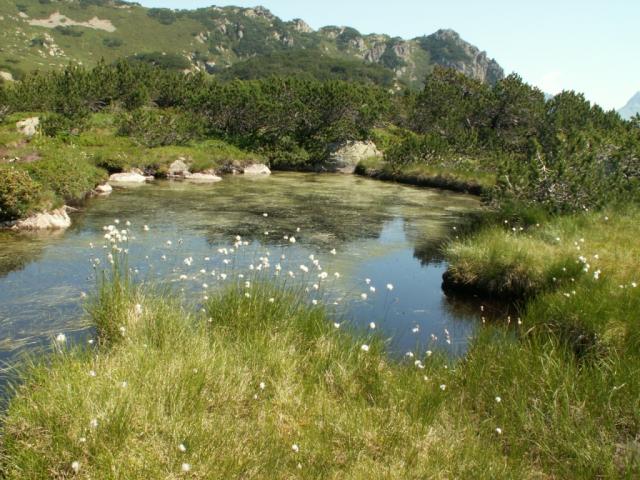 Moorlandschaft auf der Ebene im Hintergrund das Sunnig Grätli
