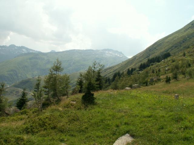 Alp oberhalb Realp