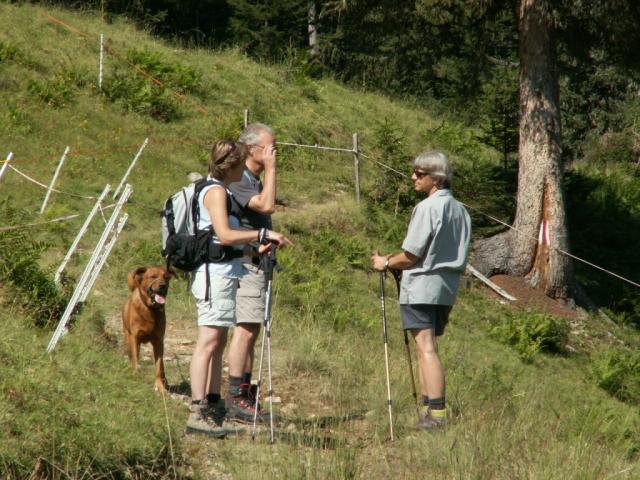 Geplauder am Wegrand