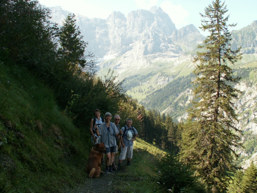 alle sind zufrieden