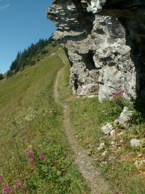 gut angelegter Bergweg