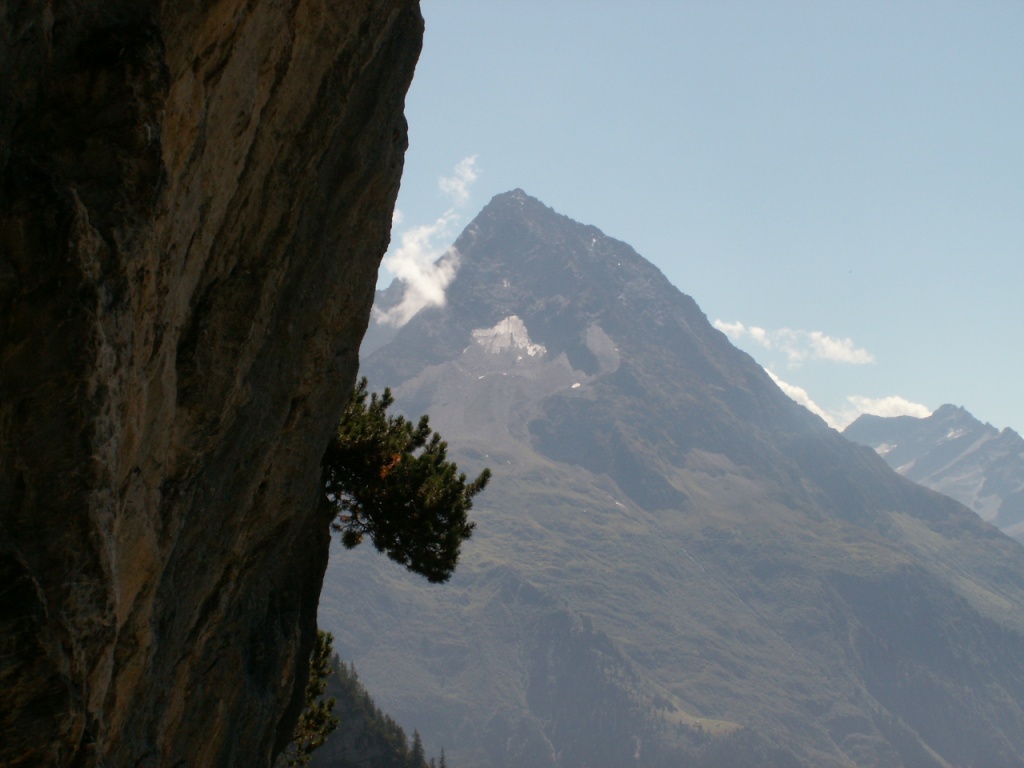 im Hintergrund der Bristen