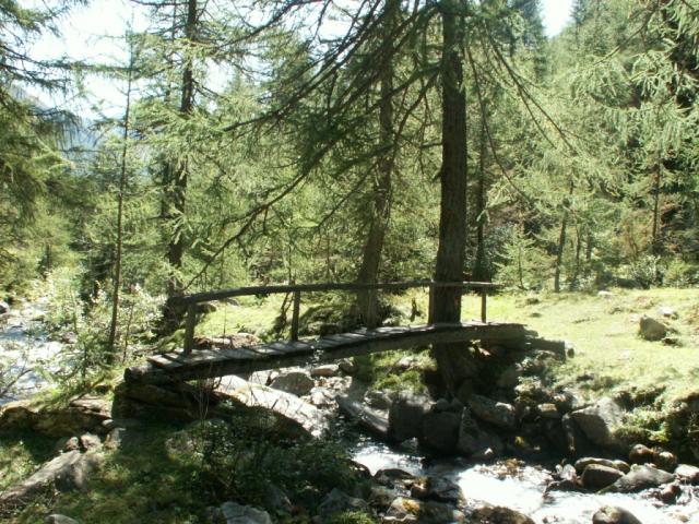 kleine Holzbrücke über der Maggia !