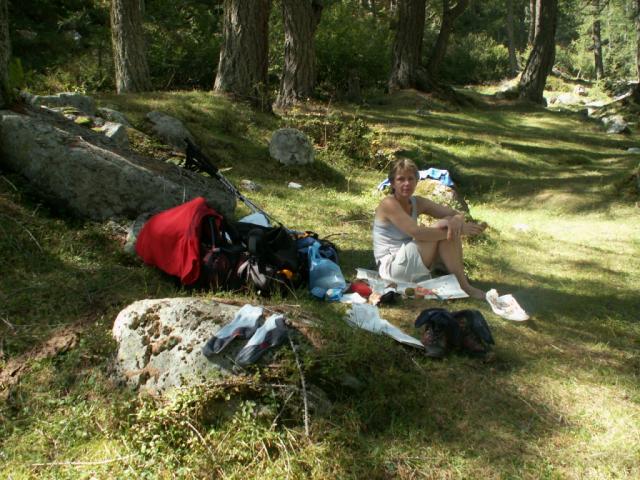 Mittagessen im Lärchenwald