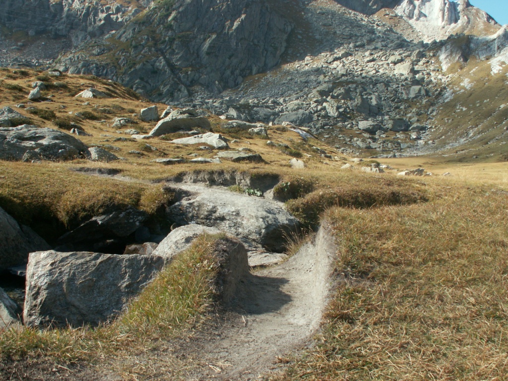 Trampelpfad