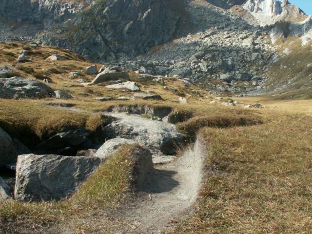 Trampelpfad