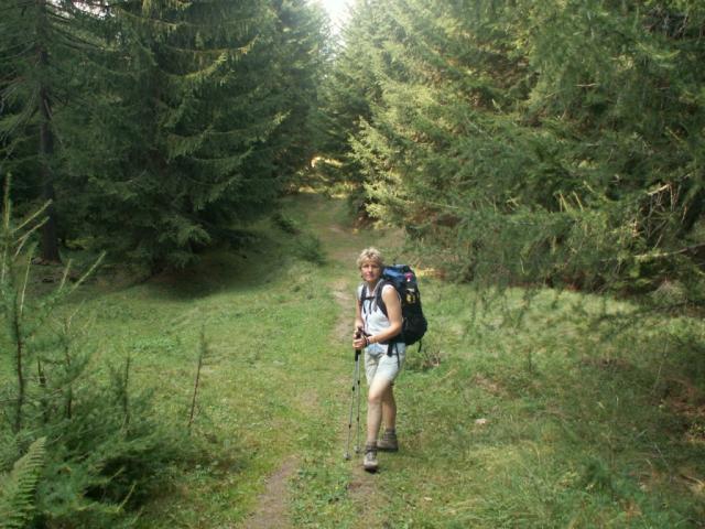 über Wald und Wiesen nach Nante