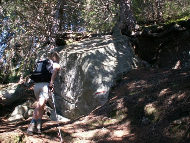 was währe das Leben im Tal ohne Schutzwald