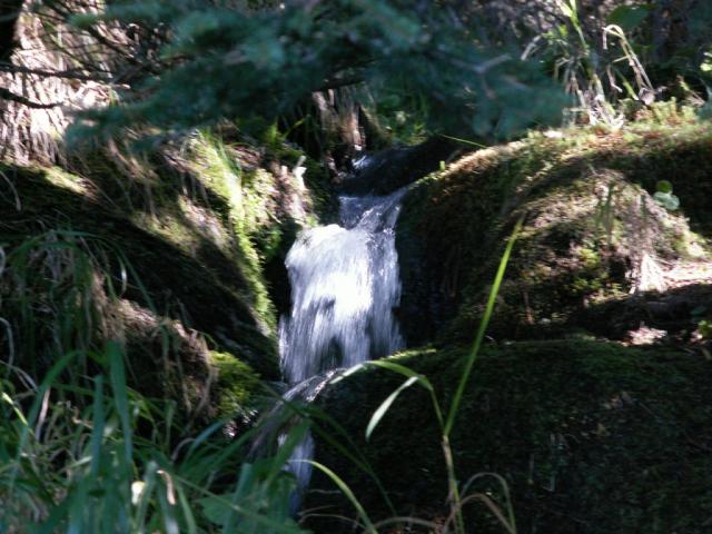 ein Bach im Wald