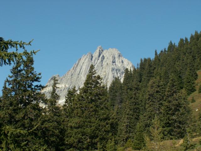 der Salbitschijen