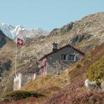 die Salbithütte