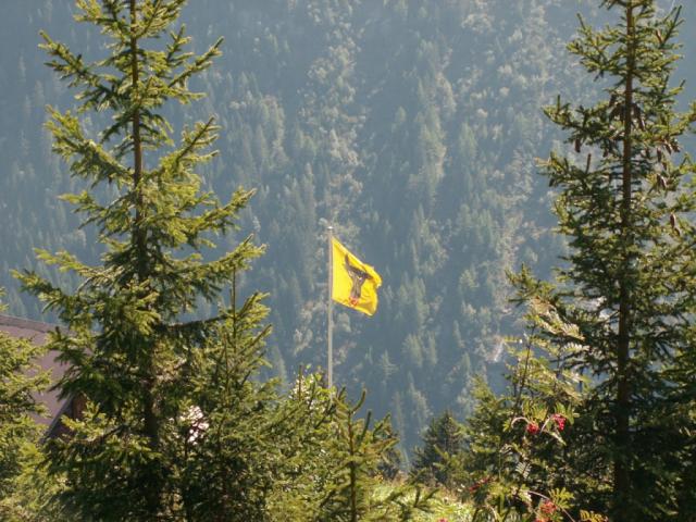 wehende Fahne mit Uristier