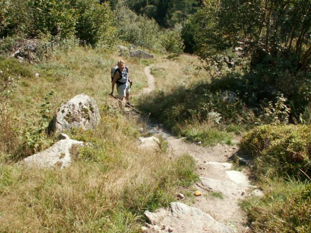 über Wälder und Wiesen