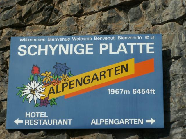 Alpengarten Schynige Platte