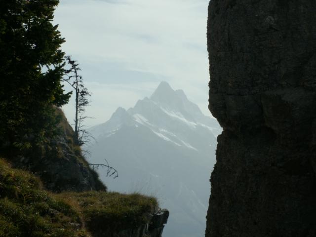 Schreckhorn 4078 m.ü.M.