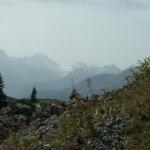 die Berner Alpen