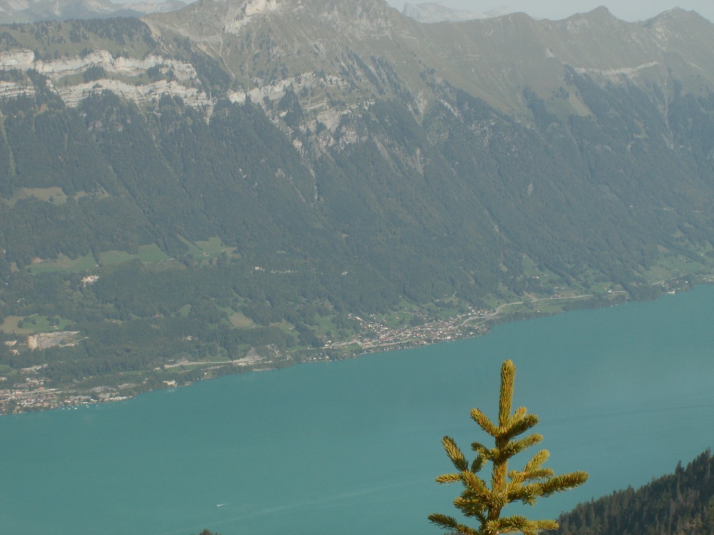 der Brienzersee von oben