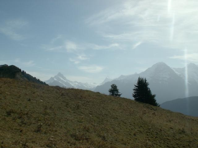 Schreckhorn, Finsteraarhorn und Eiger