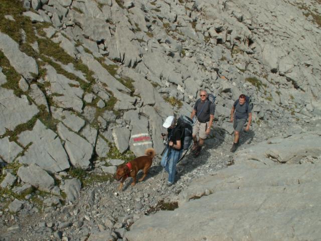 Buga, Jenny, Peter und Rolf