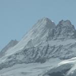 Schreckhorn und Lauteraarhorn