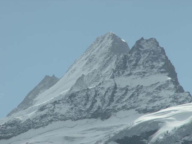 Schreckhorn und Lauteraarhorn