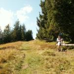 beim Hunds - Chopf