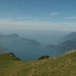 Blick runter zum Vierwaldstättersee