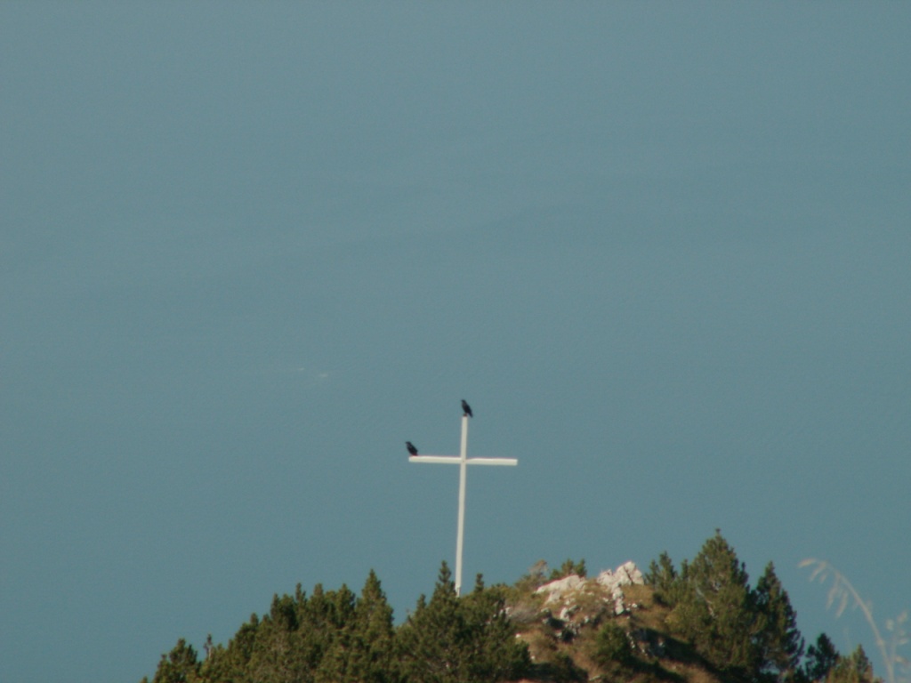 Kreuz mit Bergdohlen