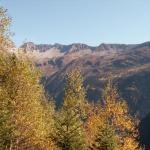 Herbstwald, im Hintergund Rienzen-, Bächen-, und Schijenstock
