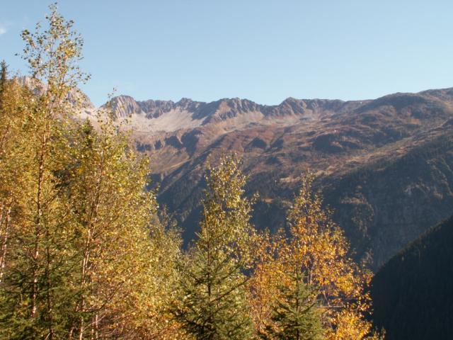 Herbstwald, im Hintergund Rienzen-, Bächen-, und Schijenstock