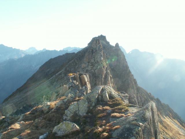 der Meiggelenstock