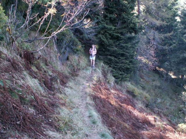 Mäusi kommt aus dem Wald