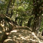 schöner Waldweg oberhalb von Vezio