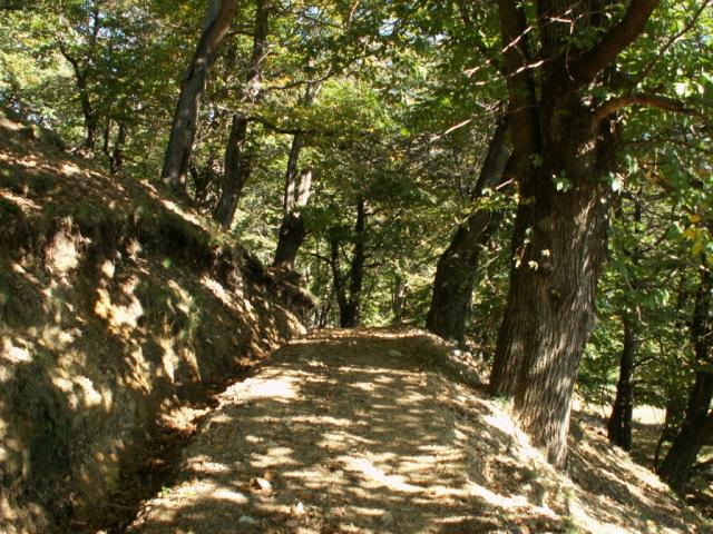 schöner Waldweg oberhalb von Vezio