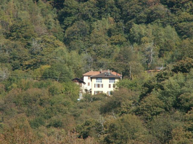 ein Haus im Kastanienwald