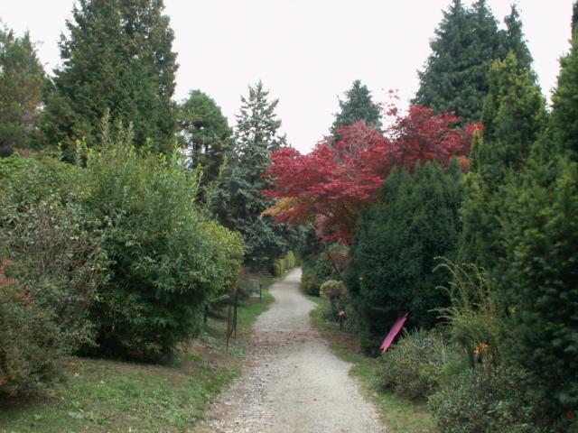 Parco botanico San Grato